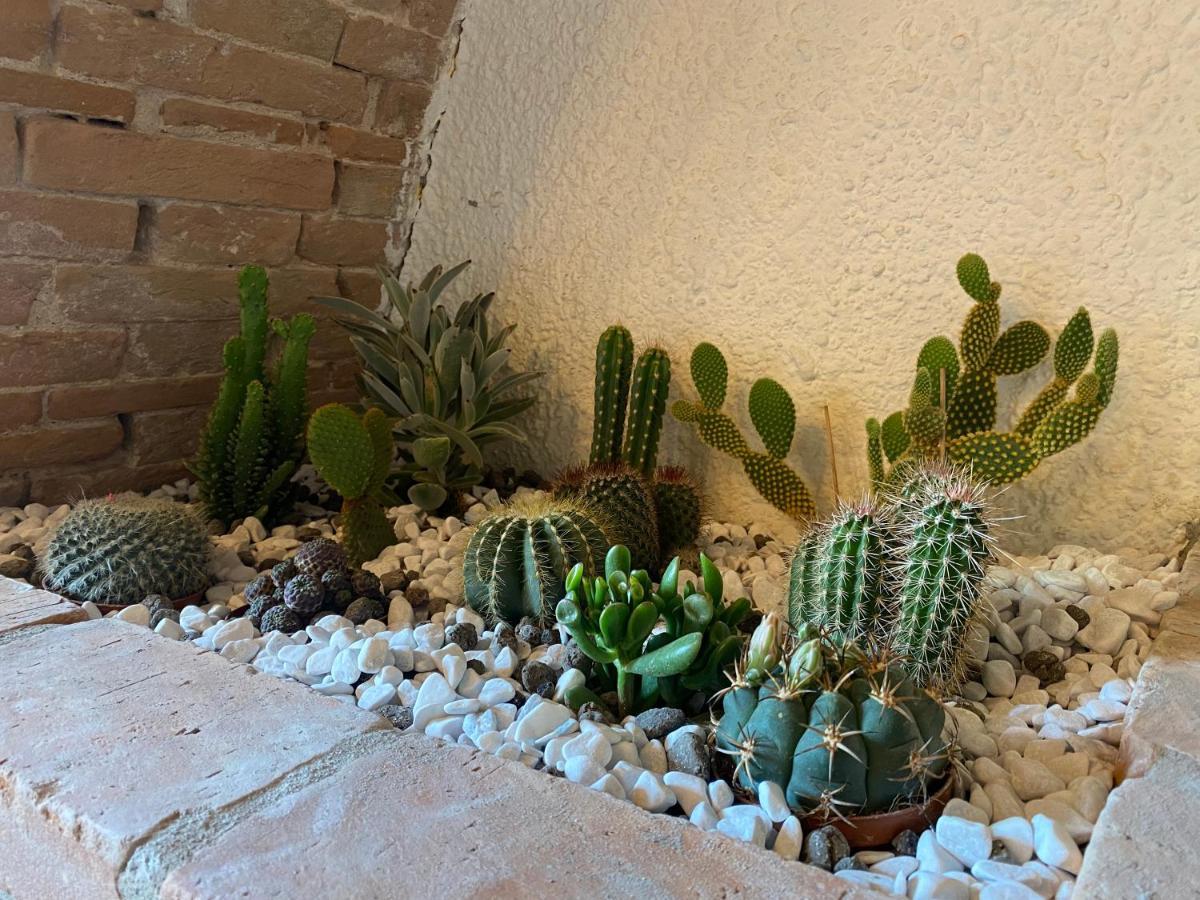 Cactus Suite Pisa Exterior photo